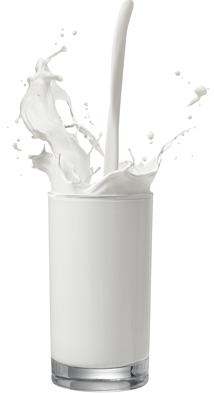 Из чего делают молоко, масло, творог и сметану «Первый вкус» - 27 апреля  2022 - 74.ru